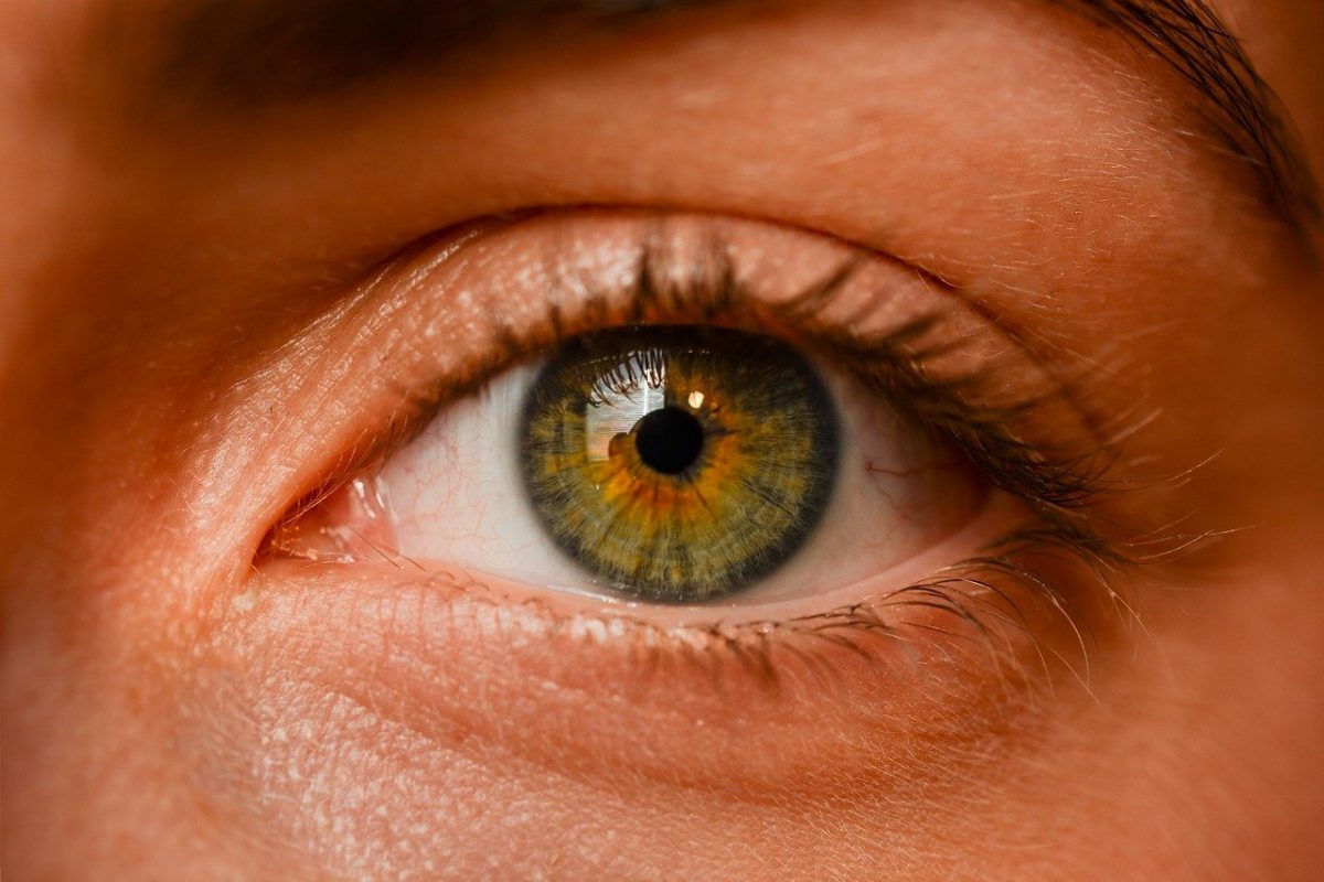 Oczy to wyjątkowy organ. To dokładnie dzięki nim rozróżniamy.